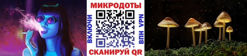 Псилоцибиновые грибы Cubensis  Ртищево 