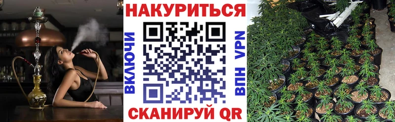 Шишки марихуана White Widow  Ртищево 